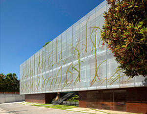 Oficinas 503